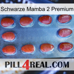 Black Mamba 2 Premium 06